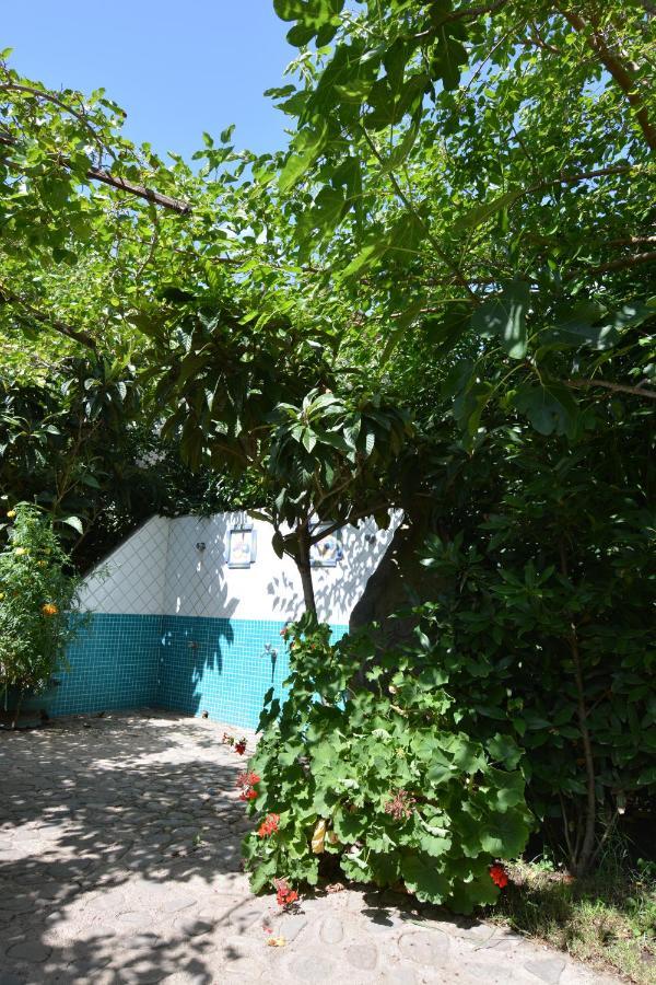 Residence L'Ulivo Budoni Exterior photo